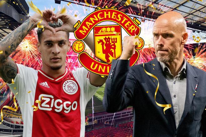 疏导专家的 疏导专家的