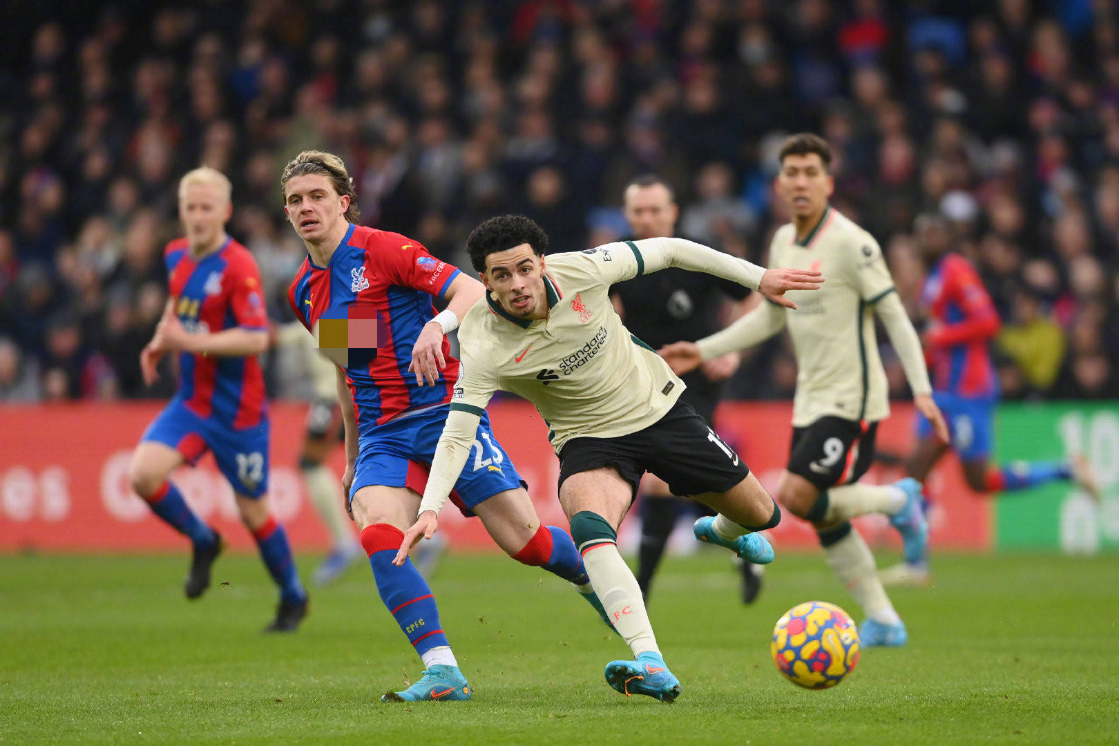 这告诉我们 这告诉我们